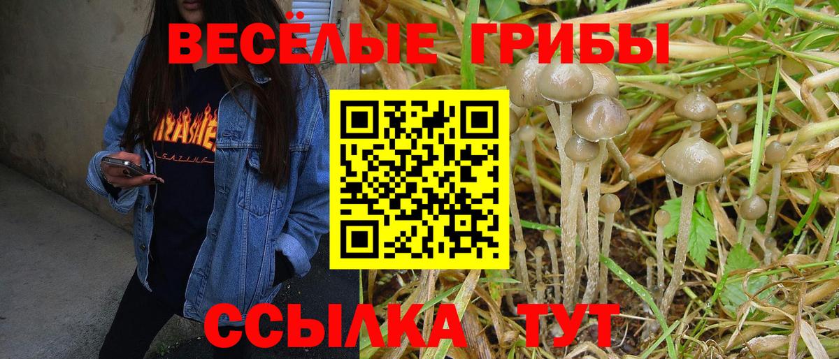 Галлюциногенные грибы прущие грибы Курчатов