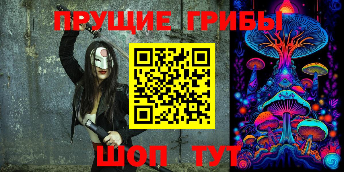 Курчатов  Псилоцибиновые грибы Psilocybe  Вход с VPN 